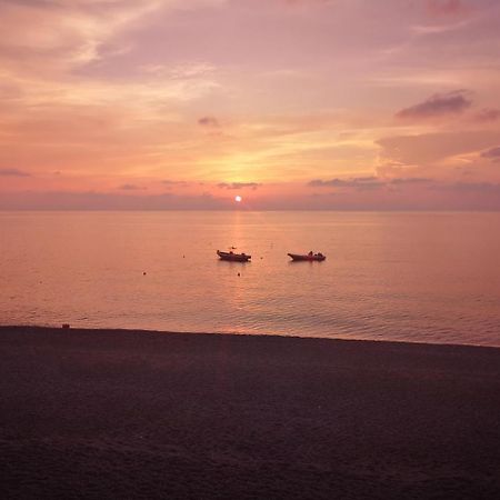 Camping B&B Gioiosa Gioiosa Marea Eksteriør bilde