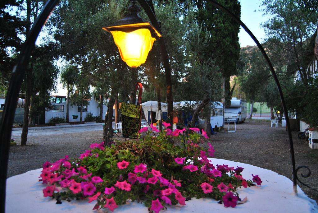 Camping B&B Gioiosa Gioiosa Marea Eksteriør bilde