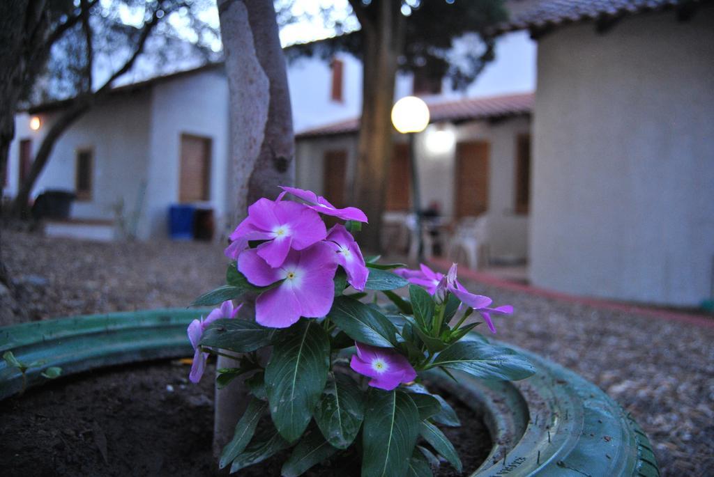 Camping B&B Gioiosa Gioiosa Marea Eksteriør bilde