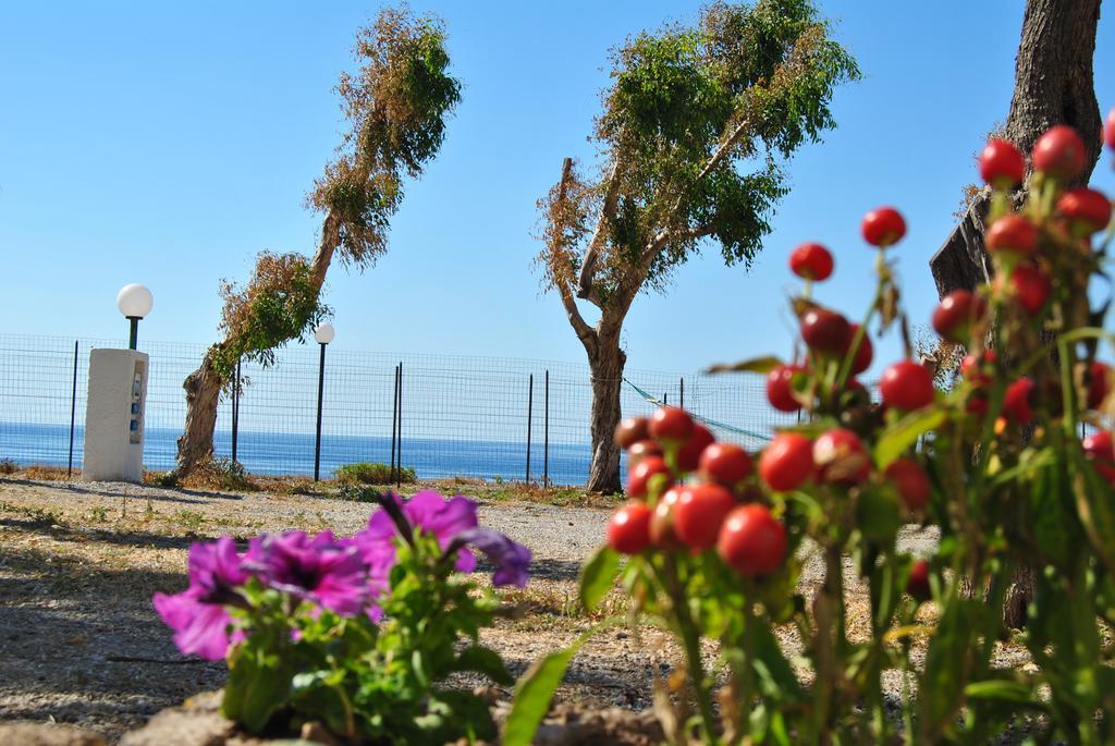 Camping B&B Gioiosa Gioiosa Marea Eksteriør bilde