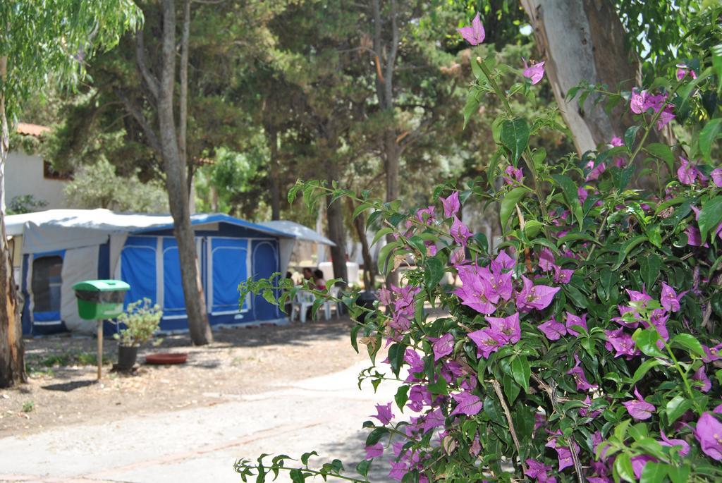 Camping B&B Gioiosa Gioiosa Marea Eksteriør bilde