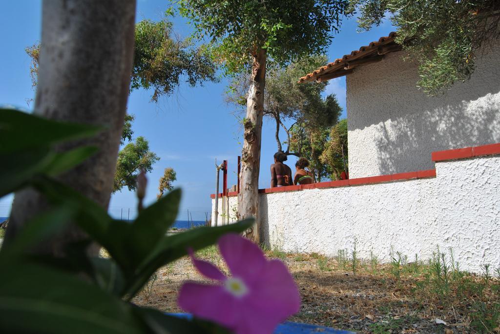 Camping B&B Gioiosa Gioiosa Marea Eksteriør bilde