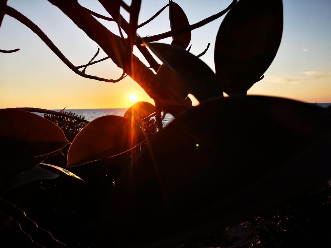 Camping B&B Gioiosa Gioiosa Marea Eksteriør bilde